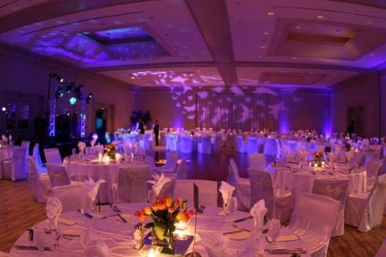 Отель The Westin Tampa Harbour Island