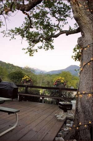 Отель Sierra Lodge Three Rivers