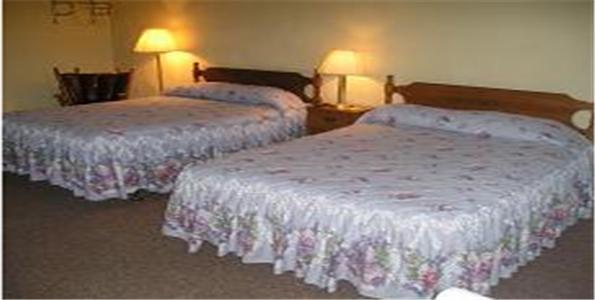 Отель Pittsfield Motor Inn