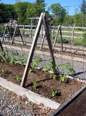 Мини-отель Shaker Woods Farm Bed & Breakfast