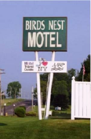 Отель Birds Nest Motel