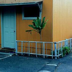 Хостел Hostel City Maui 1