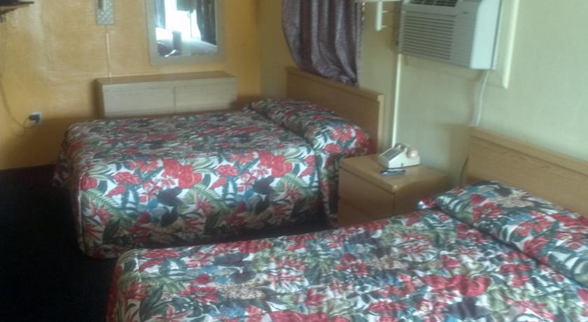 Отель Palm City Motel