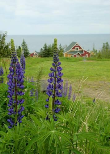 Отель Cove Point Lodge