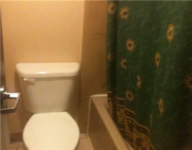 Отель Canterbury Inn and Suites