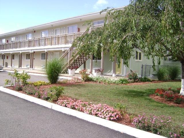 Отель The Bentley Hotel Southampton