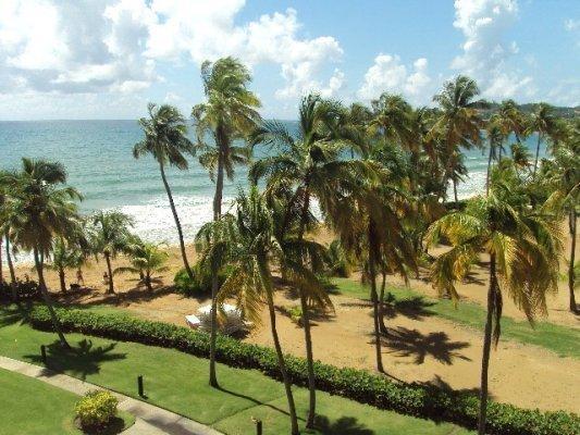 Апартаменты Palmas Inn Villas