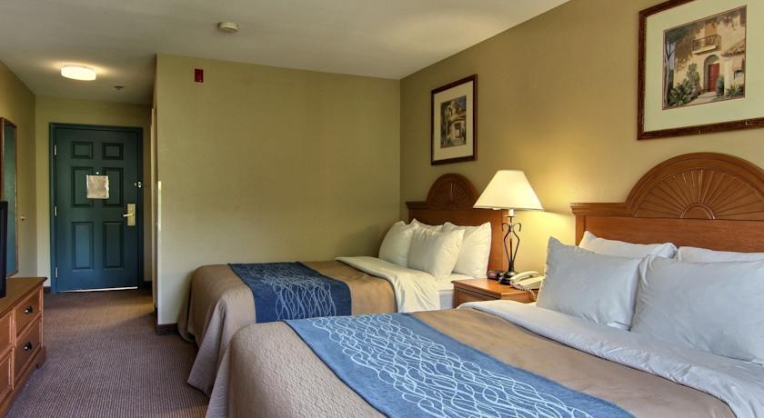 Отель Comfort Inn & Suites Saint Augustine
