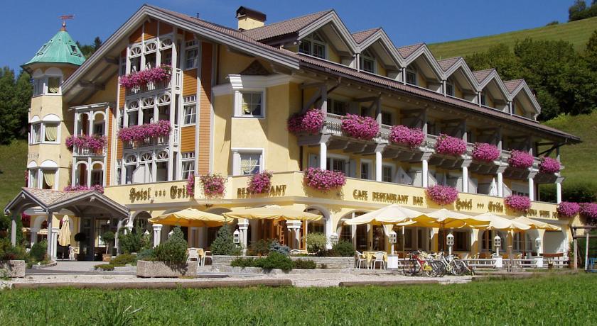 Отель Hotel Erika