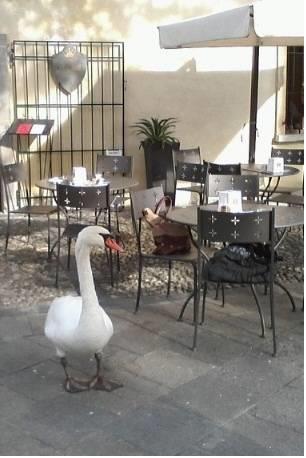 Отель Hotel Monastero Del Lavello