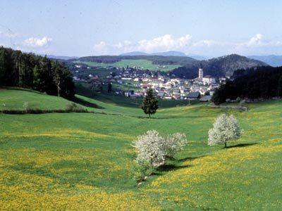 Гостевой дом Garni Waldfrieden