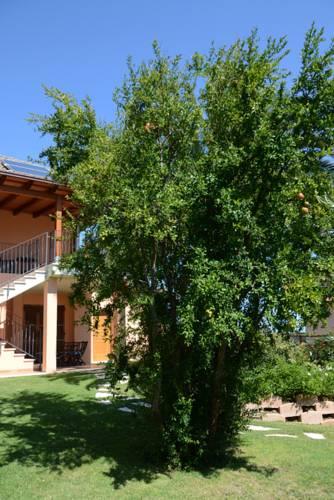 Мини-отель B&B Terramare