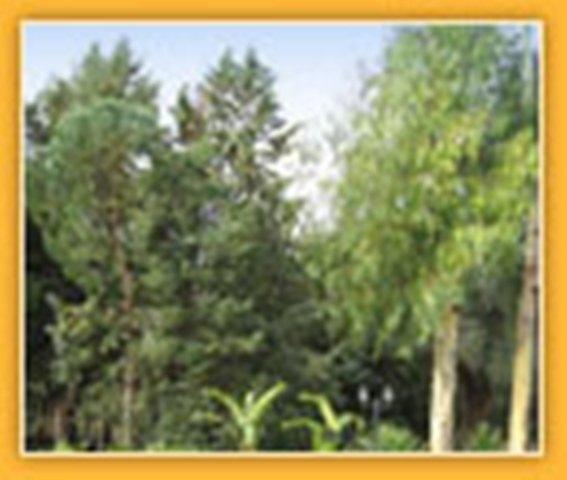 Отель Villa Mado