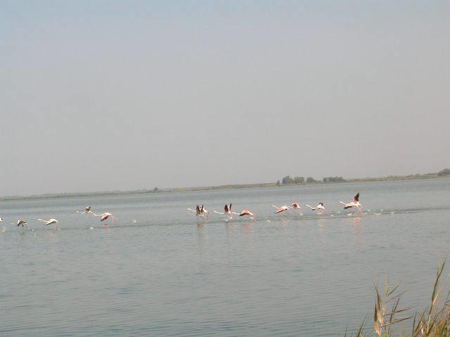 Отель Summertime Hotel