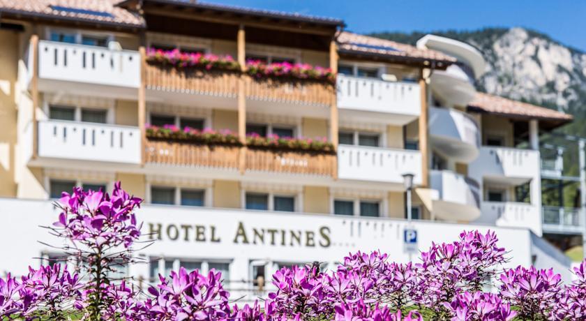 Отель Hotel Antines