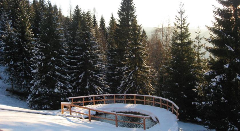 Отель Chalet Nel Doch Villa Cheia