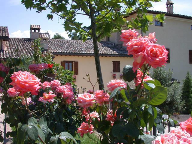 Отель Agriturismo Sasso Rosso