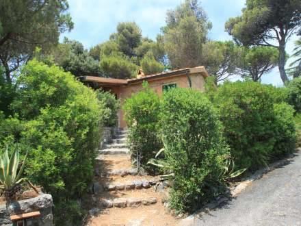 Апартаменты Apartment Sea Breeze Castiglione della Pescaia