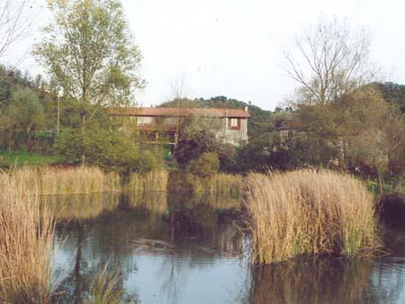 Отель Agriturismo Il Picchio Verde
