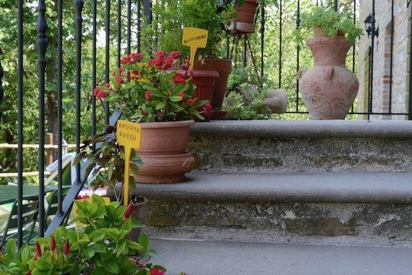 Отель Holiday Home Il Fiordaliso Apecchio