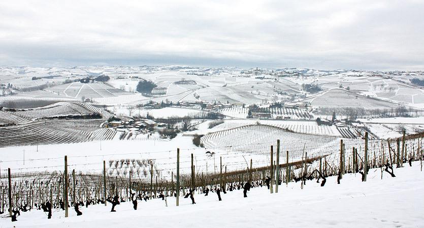 Мини-отель Casa Svizzera Agriturismo