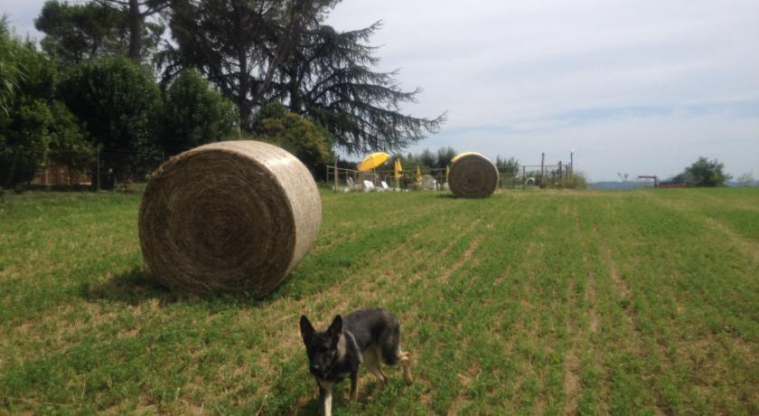 Отель Agriturismo Bonfigli