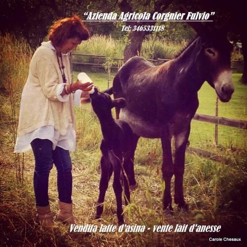 Отель Affittacamere Chez Magan