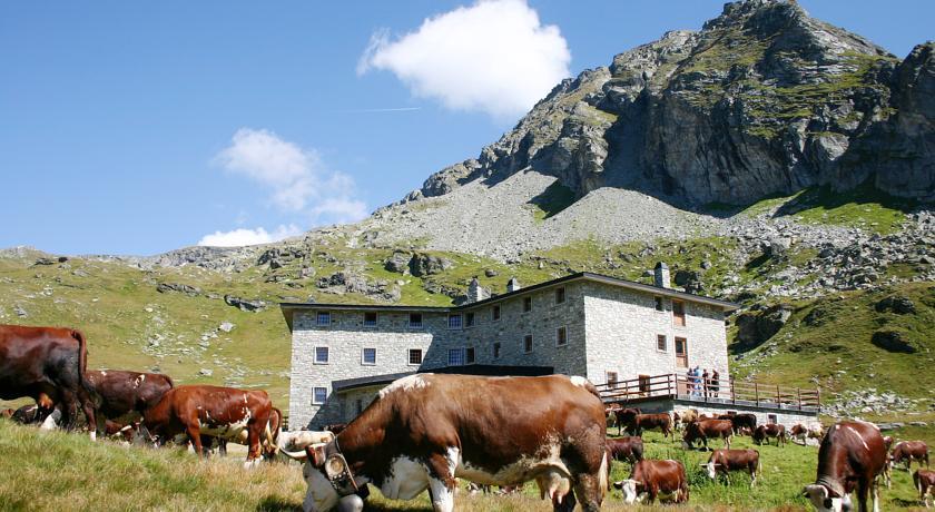 Хостел Rifugio Arp