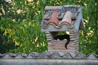 Отель Holiday Home Primule Cagli
