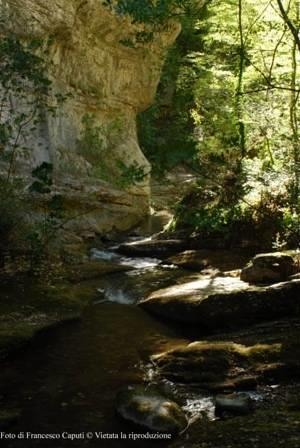 Мини-отель Agriturismo La Conca Fonte S.Croce