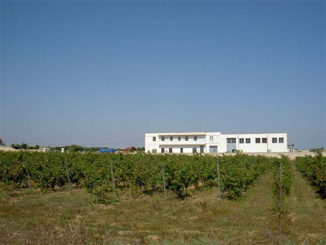 Отель B&B Foresteria Attanasio