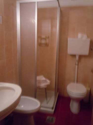 Отель Hotel Erica