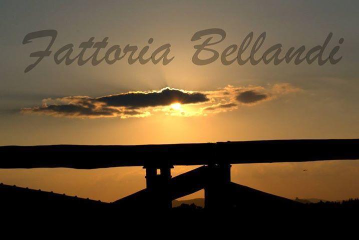 Гостевой дом Affittacamere La Fattoria