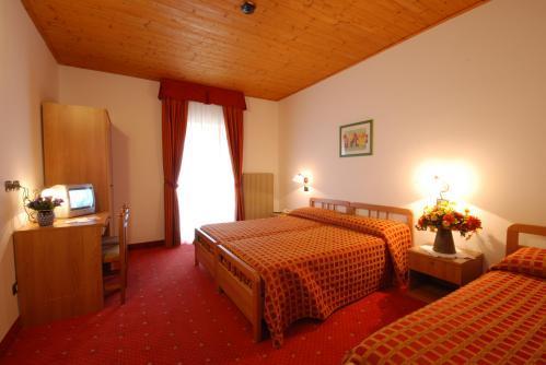 Отель Hotel Adamello