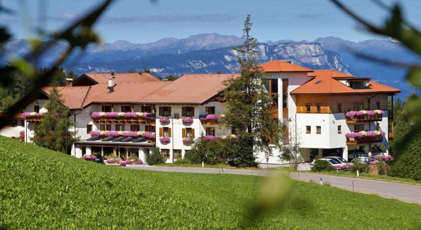 Отель Hotel Peter