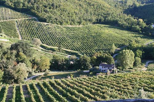 Отель Fattoria Di Castiglionchio