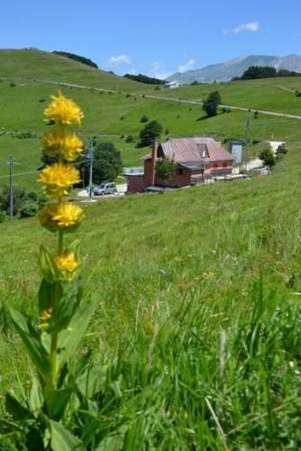 Мини-отель Rifugio Genziana