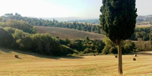 Отель Poggio Cantarello Vacanze