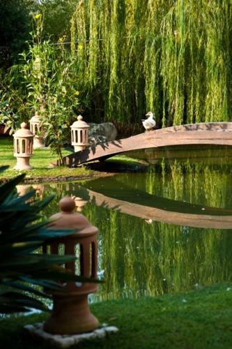 Отель Hotel Mediterraneo