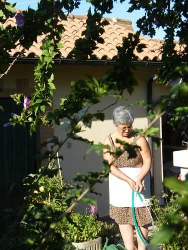 Отель Agriturismo Poggio alle Calle