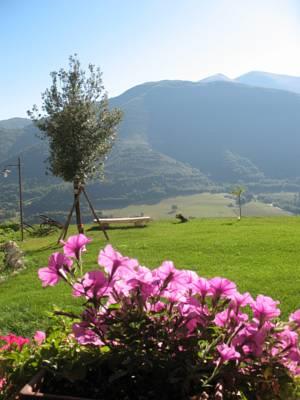 Отель Agriturismo La Melaggine