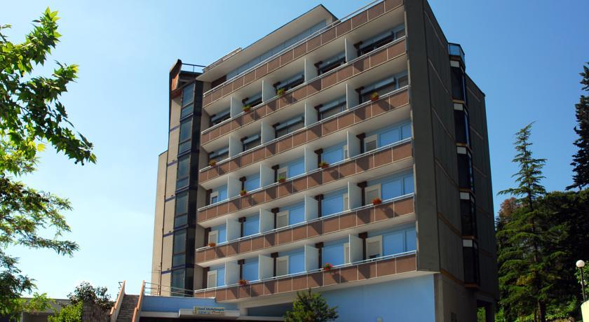 Отель Hotel Michelangelo