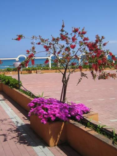 Отель Hotel Melissa