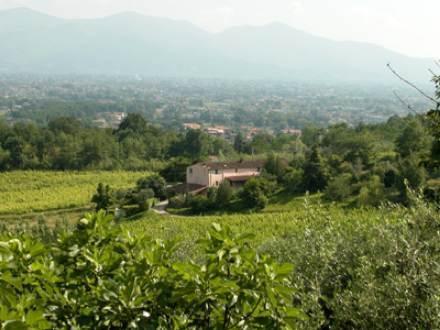 Апартаменты Holiday Home Nardinello Matraia