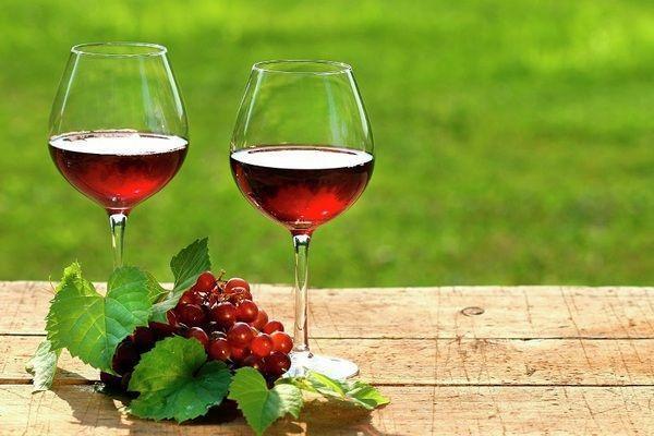 Отель Holiday Home Acquaviva Olivo Montescudaio