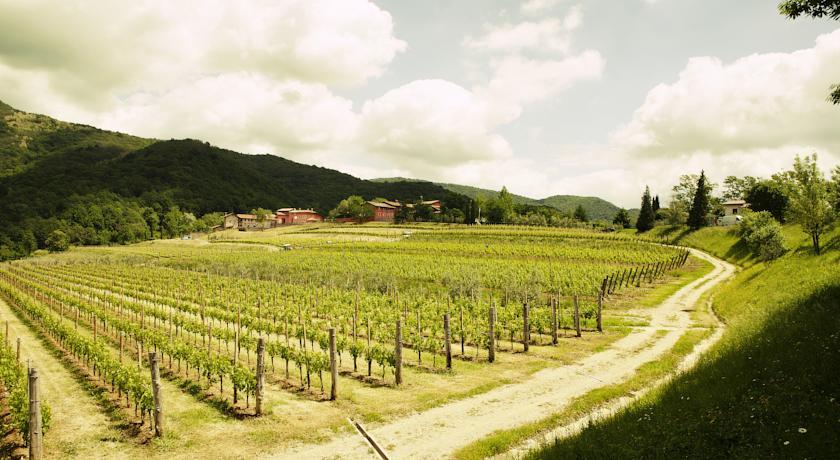 Отель Agriturismo l'Uva e le Stelle