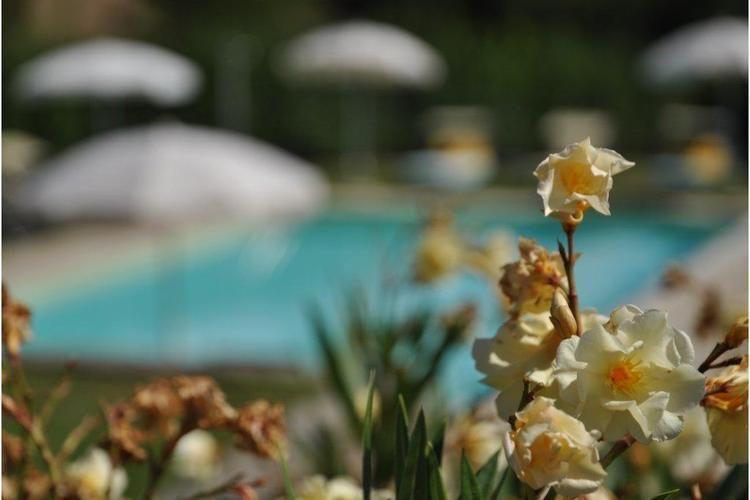 Апартаменты Holiday Home Dei Ciompi Dicomano