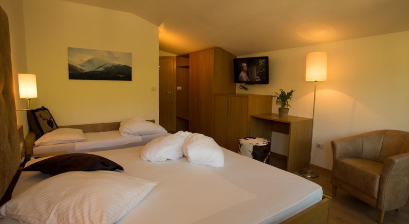 Отель Hotel Erika