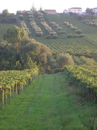 Отель Agriturismo Montupoli