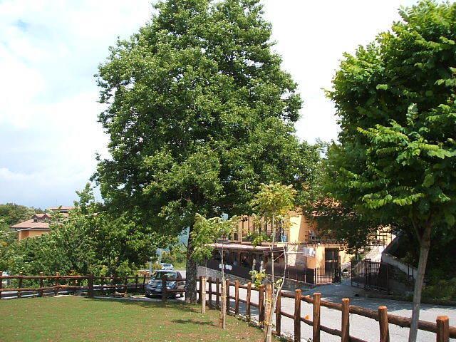 Отель Agriturismo Aria Fina